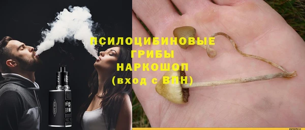 2c-b Нягань