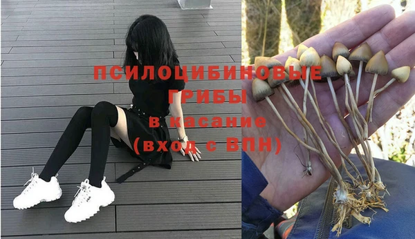2c-b Нягань