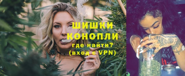 мдпв Няндома