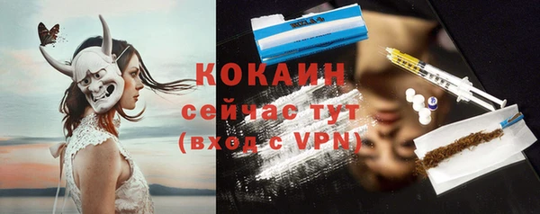 мдпв Няндома