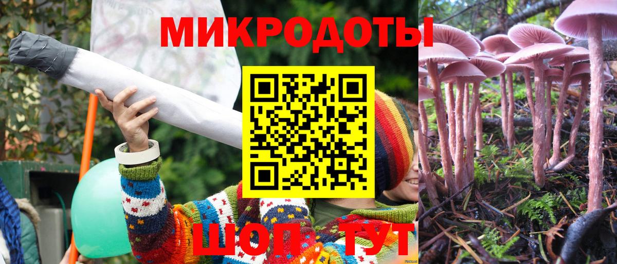 Псилоцибиновые грибы прущие грибы  Балахна  Галлюциногенные грибы Cubensis 