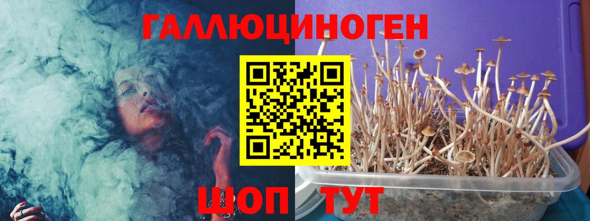 Псилоцибиновые грибы мухоморы  наркошоп  Балахна  Вход с VPN  Псилоцибиновые грибы Psilocybe 