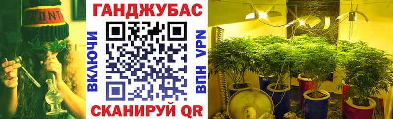 МАРИХУАНА конопля  MEGA ССЫЛКА  Балахна  где найти  